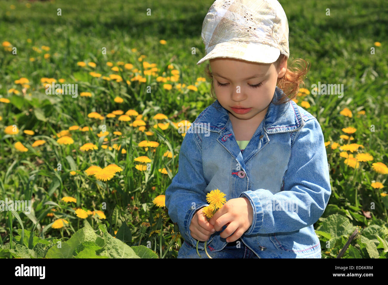 Little girl with dandelions Stock Photo - Alamy