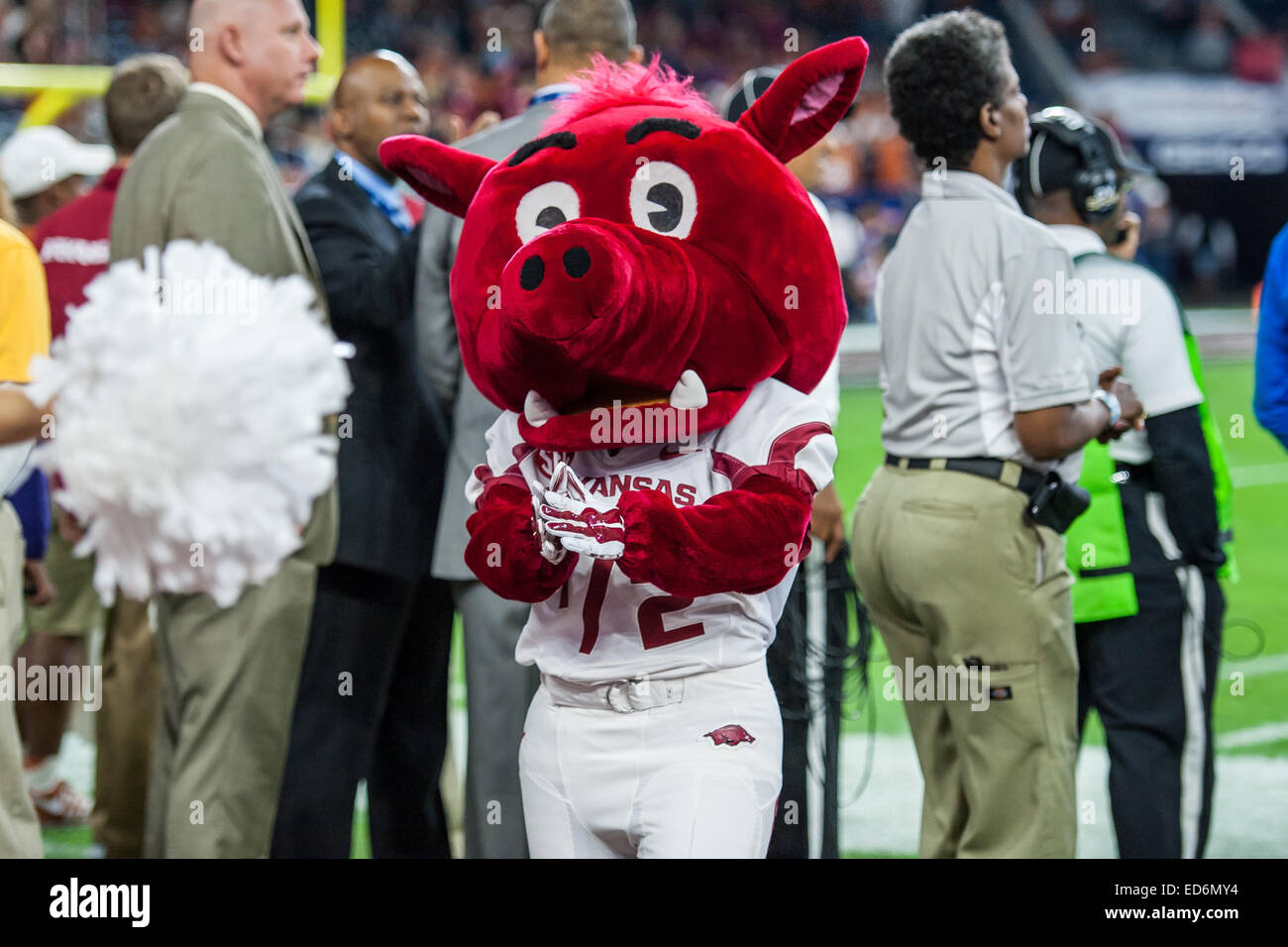 Arkansas razorbacks mascot hi-res stock photography and images - Alamy