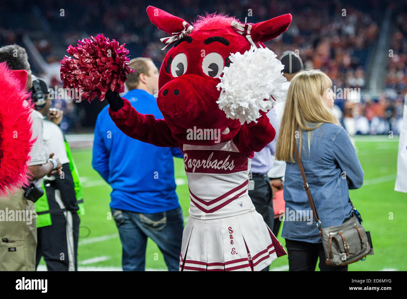 University of arkansas mascot hires stock photography and images Alamy