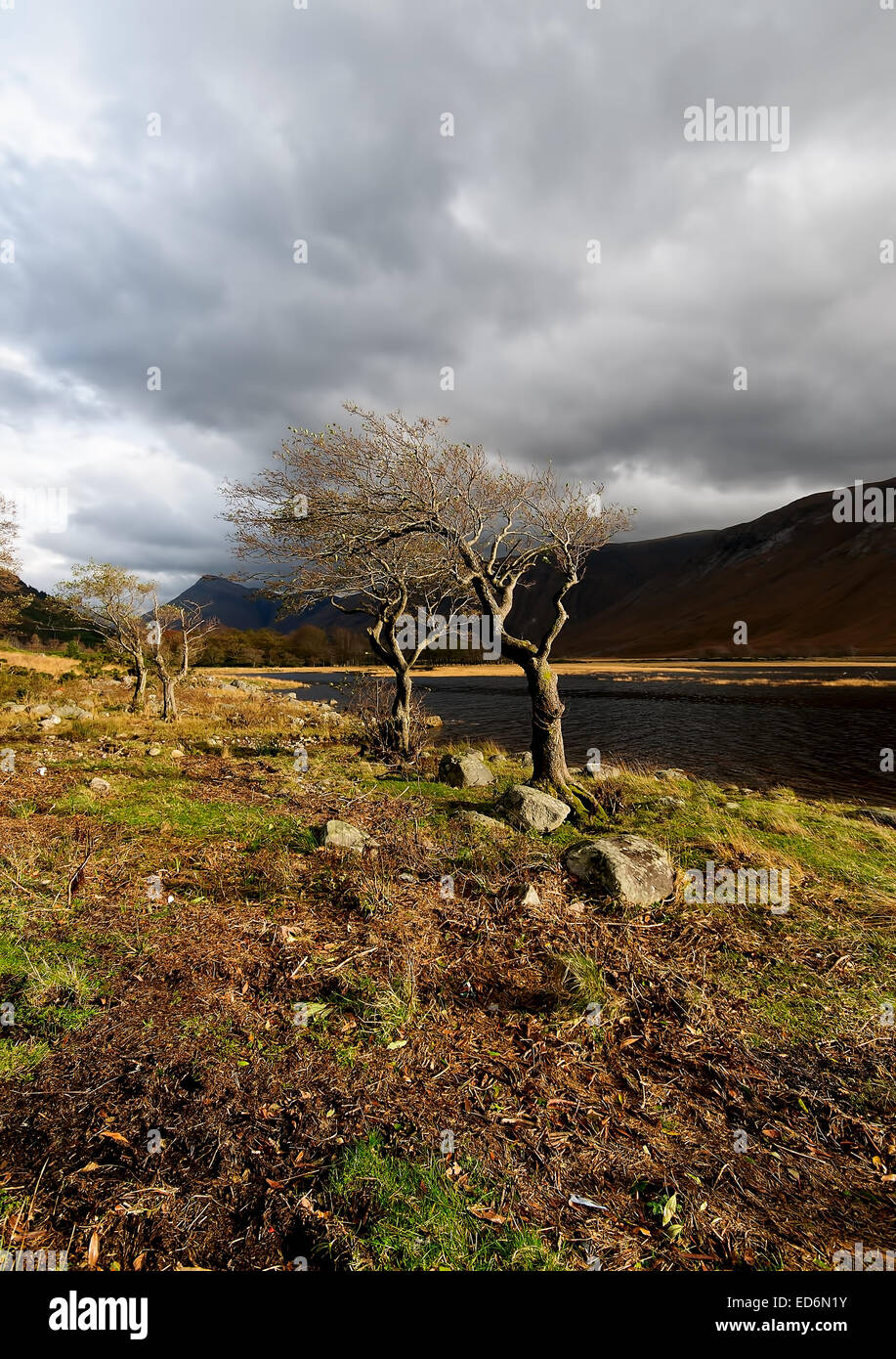 Loch Etive in the Highlands of Scotland Stock Photo Alamy
