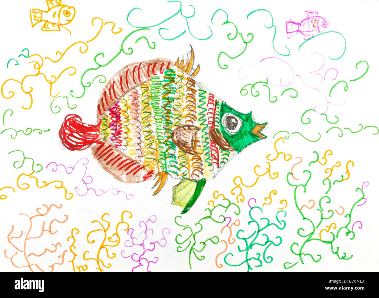 child's drawing - multi-color fish fish between algae by felt-tip pen Stock Photo