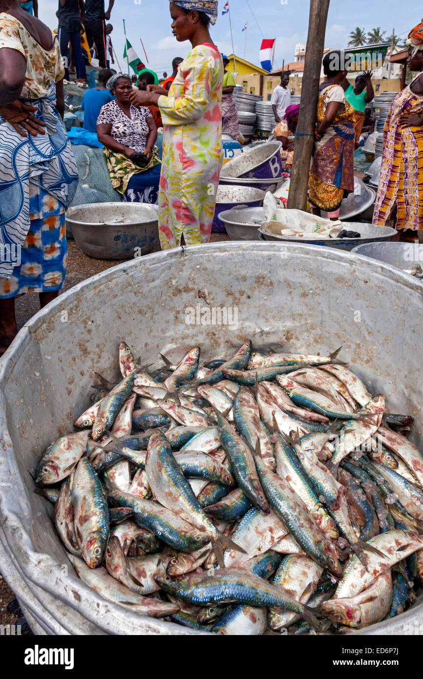 Fish market, Elmina, Ghana, Africa Stock Photo Alamy