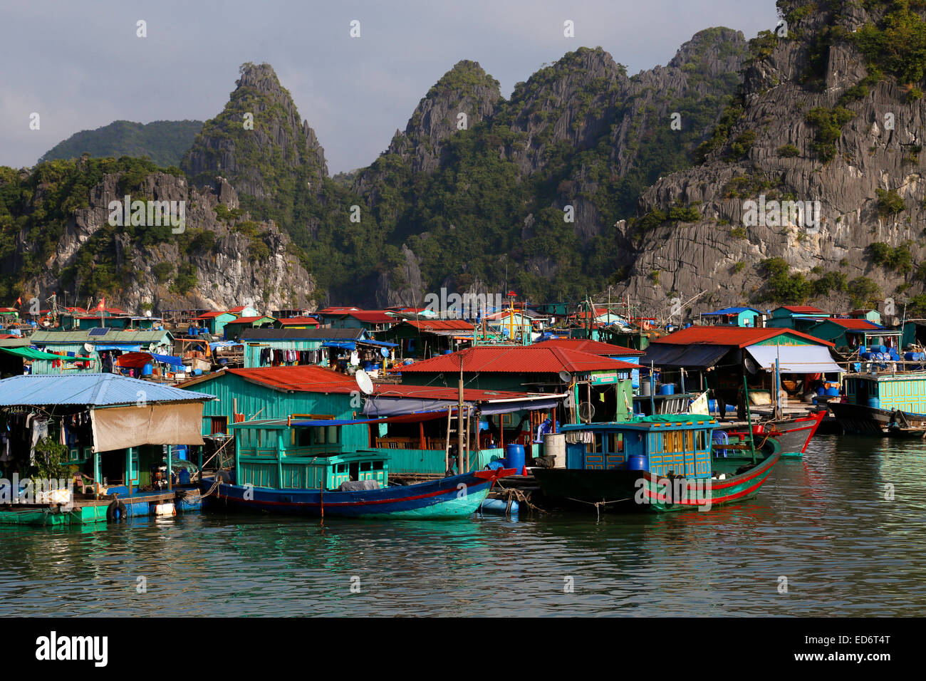 Cai Beo Floating Fishing Village, Cat Ba Island, Vietnam Stock Photo