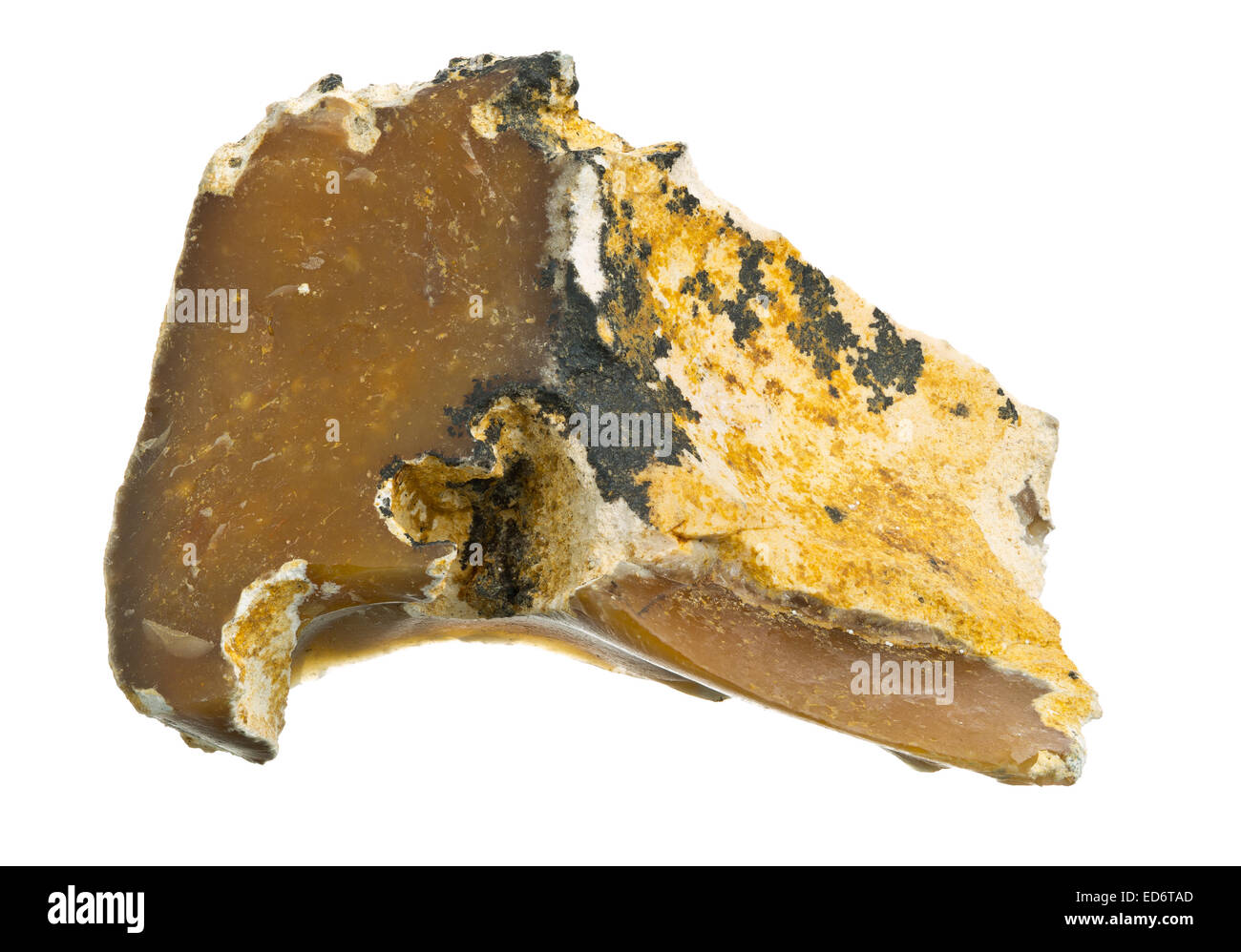 Brown flint (flintstone, SiO2) specimen in limestone Stock Photo Alamy