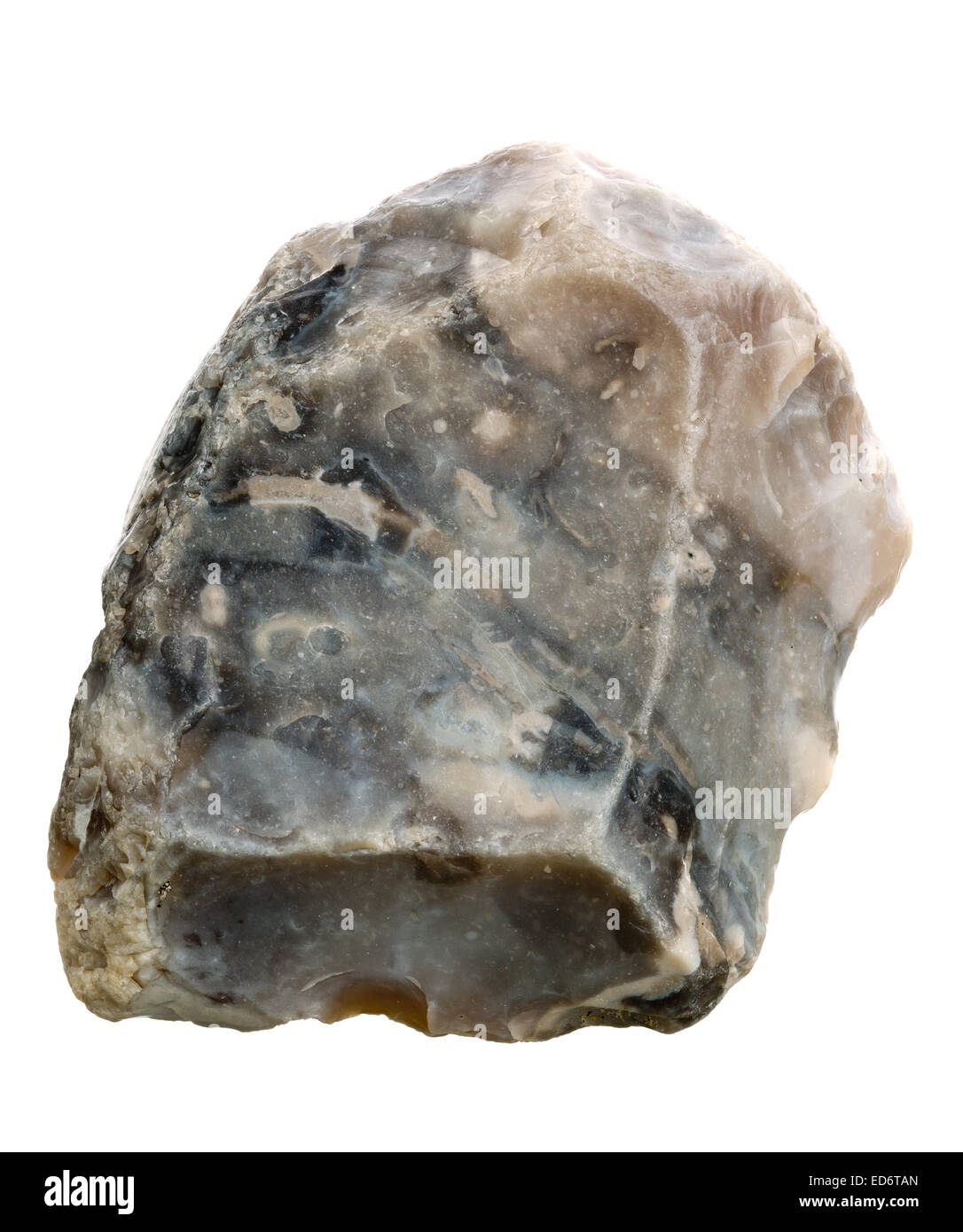 Grey flint (flintstone, SiO2) specimen Stock Photo