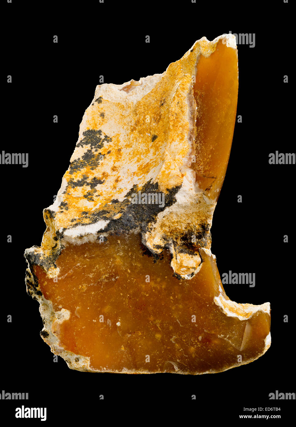 Limestone chert and flint hires stock photography and images Alamy