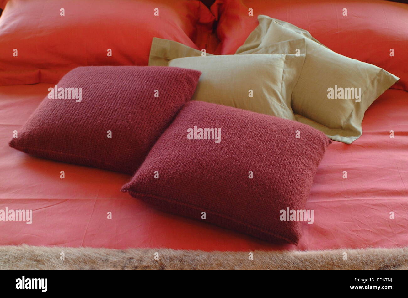 Image showcasing Interior design of fashion apartment suite Stock Photo - Alamy