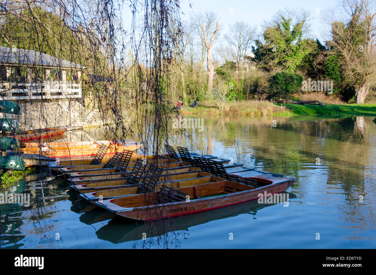 Cambridge, UK. 29 December 2014: Punts on the Mill Pond in Cambridge Stock Photo