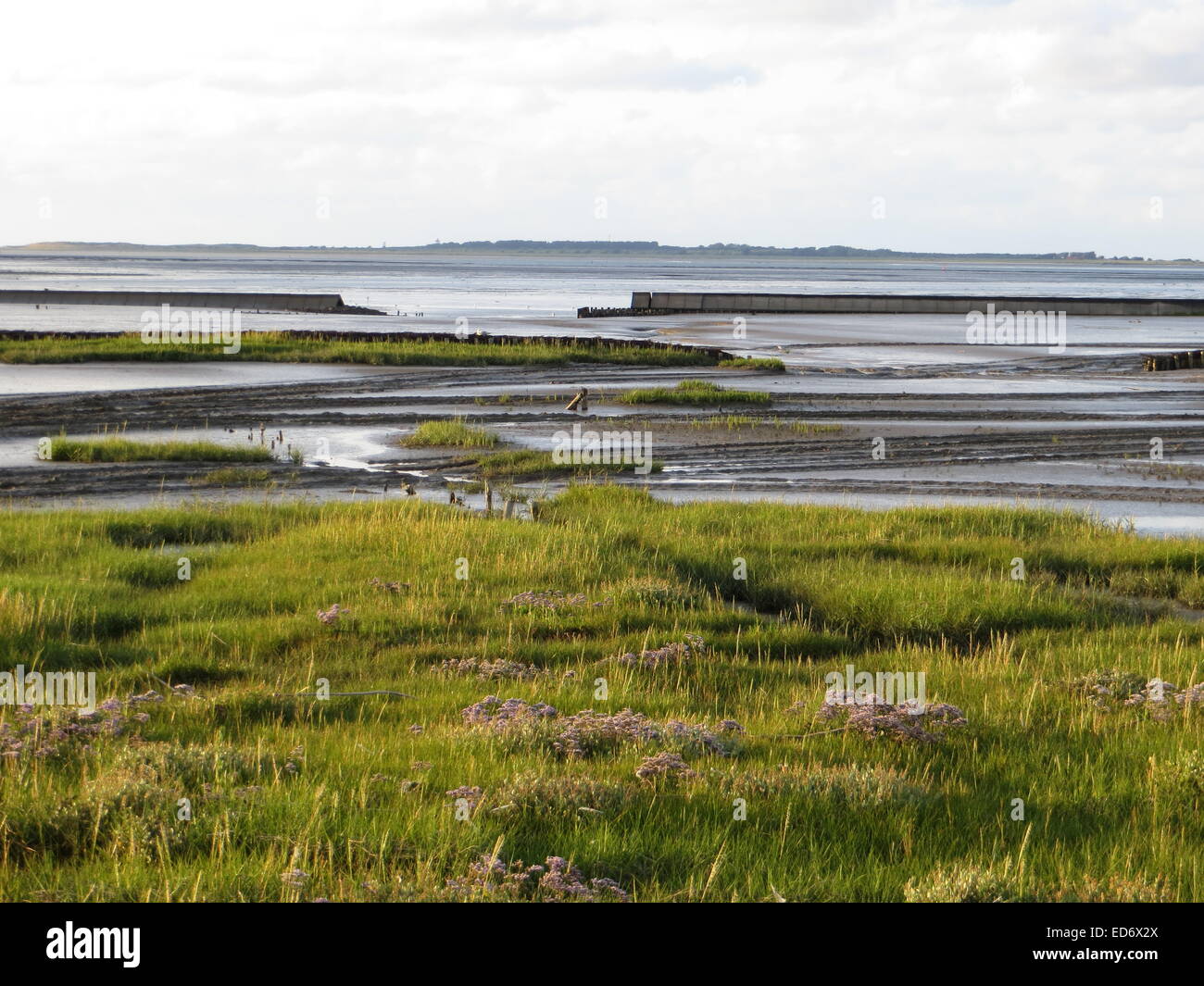 Tideland area of Dornum/North Sea July 2014 Stock Photo