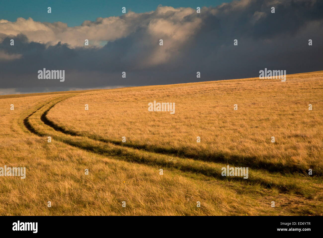 Grassland with approaching storm in the Golden Gate Highlands National Park, Drakensberg Mountains, South Africa Stock Photo