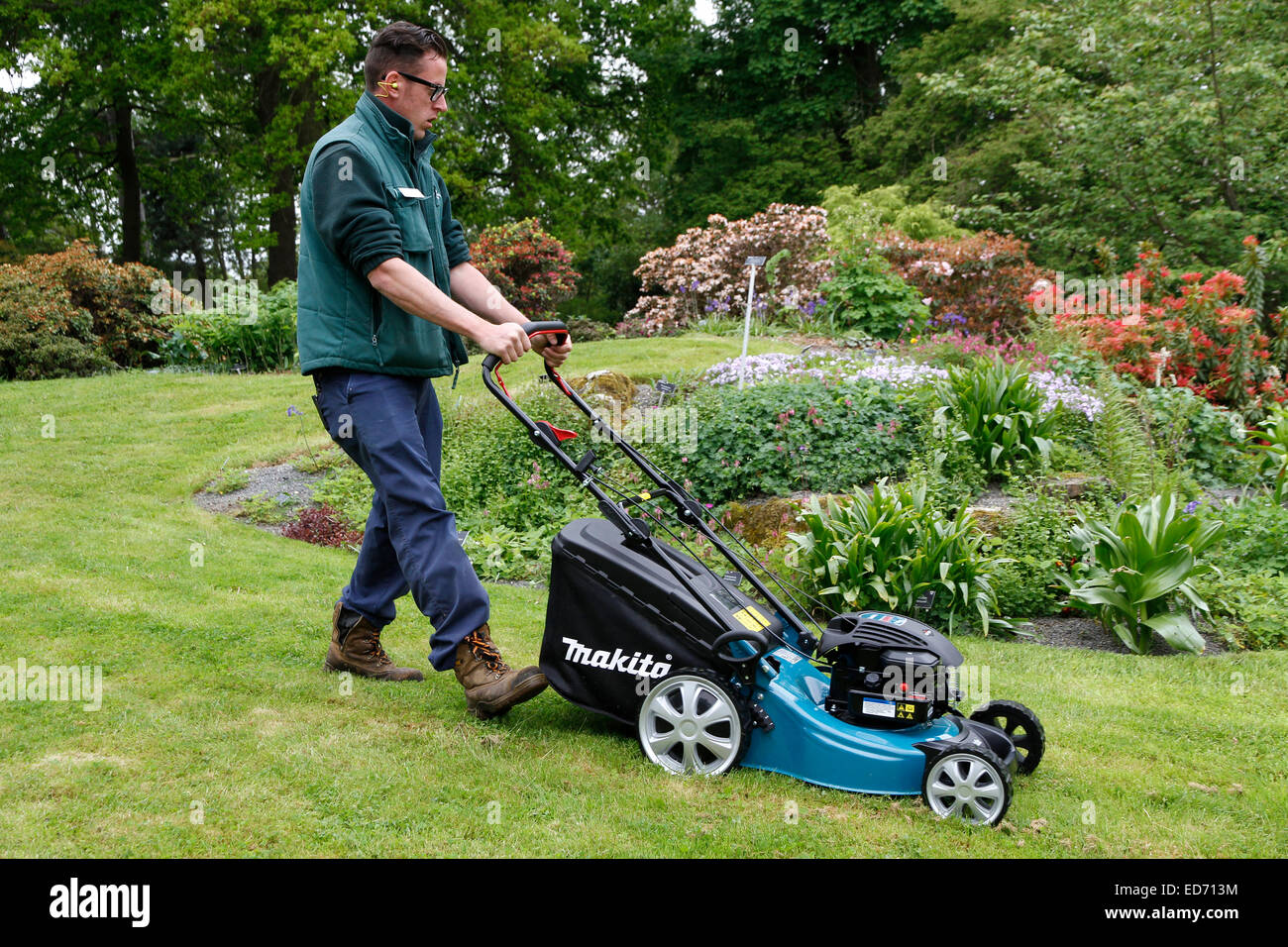 Lawn Mowing with petrol mower Stock Photo