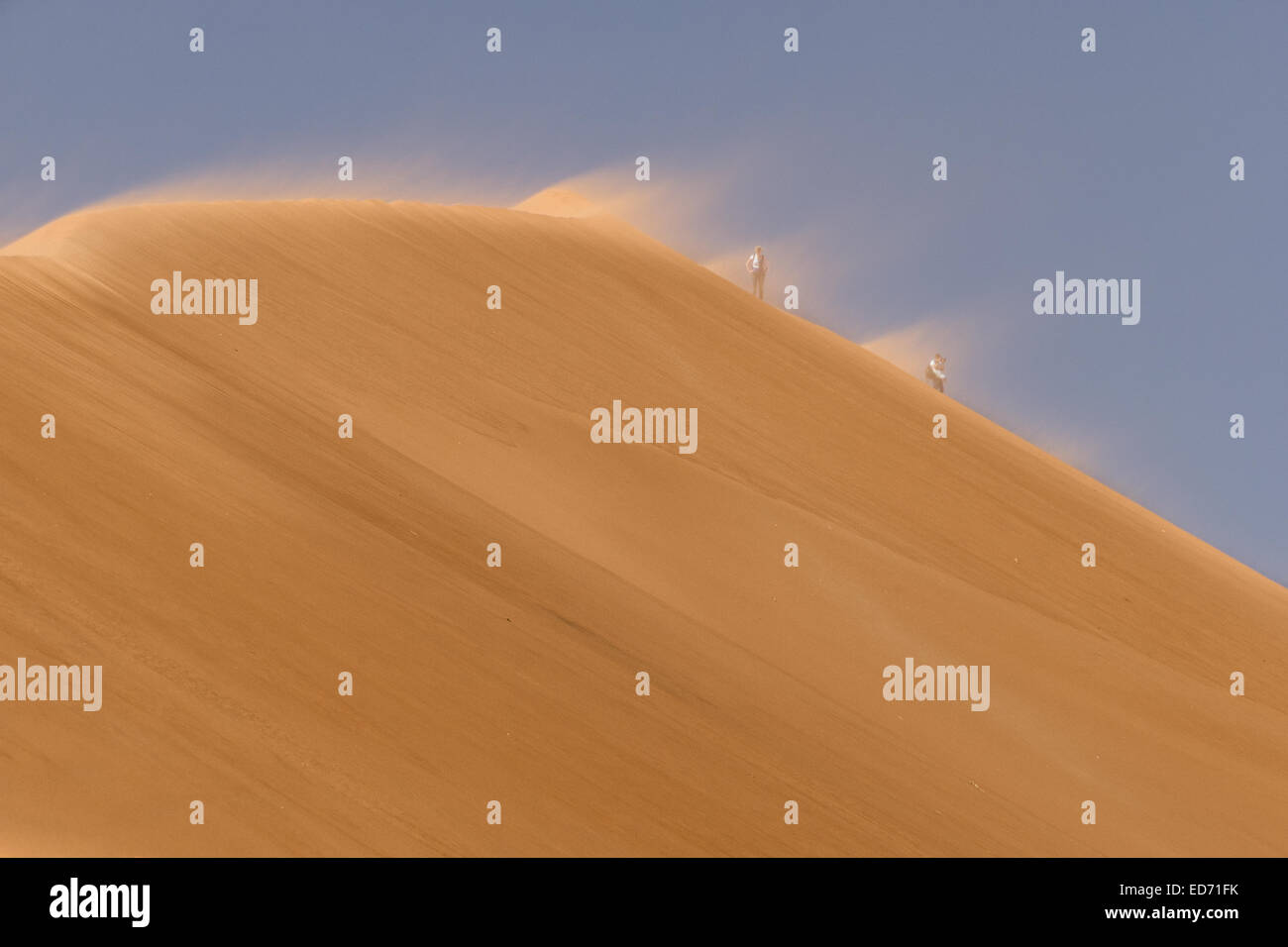Wind deadvlei hi-res stock photography and images - Alamy