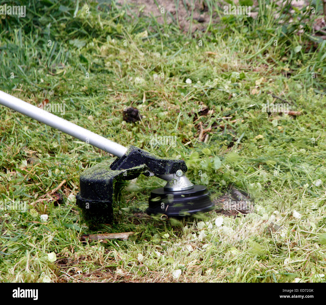 Cutting long rough grass with a petrol strimmer also called a 'weed eater' or 'weed-wacker.' Stock Photo