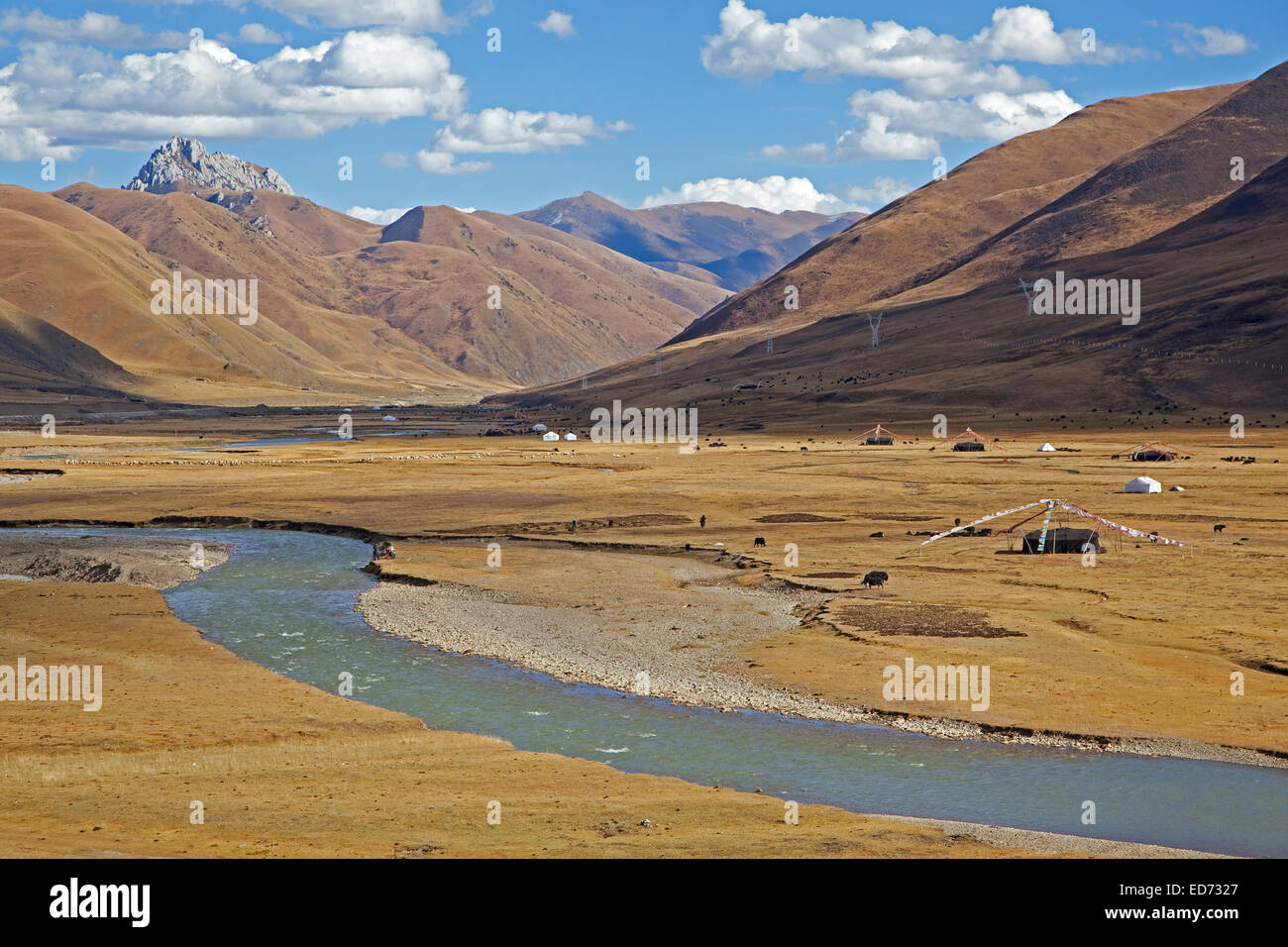 Tibetan nomadic tents with prayer flags and herd of yaks grazing along the Sichuan-Tibet Highway, Sichuan Province, China Stock Photo