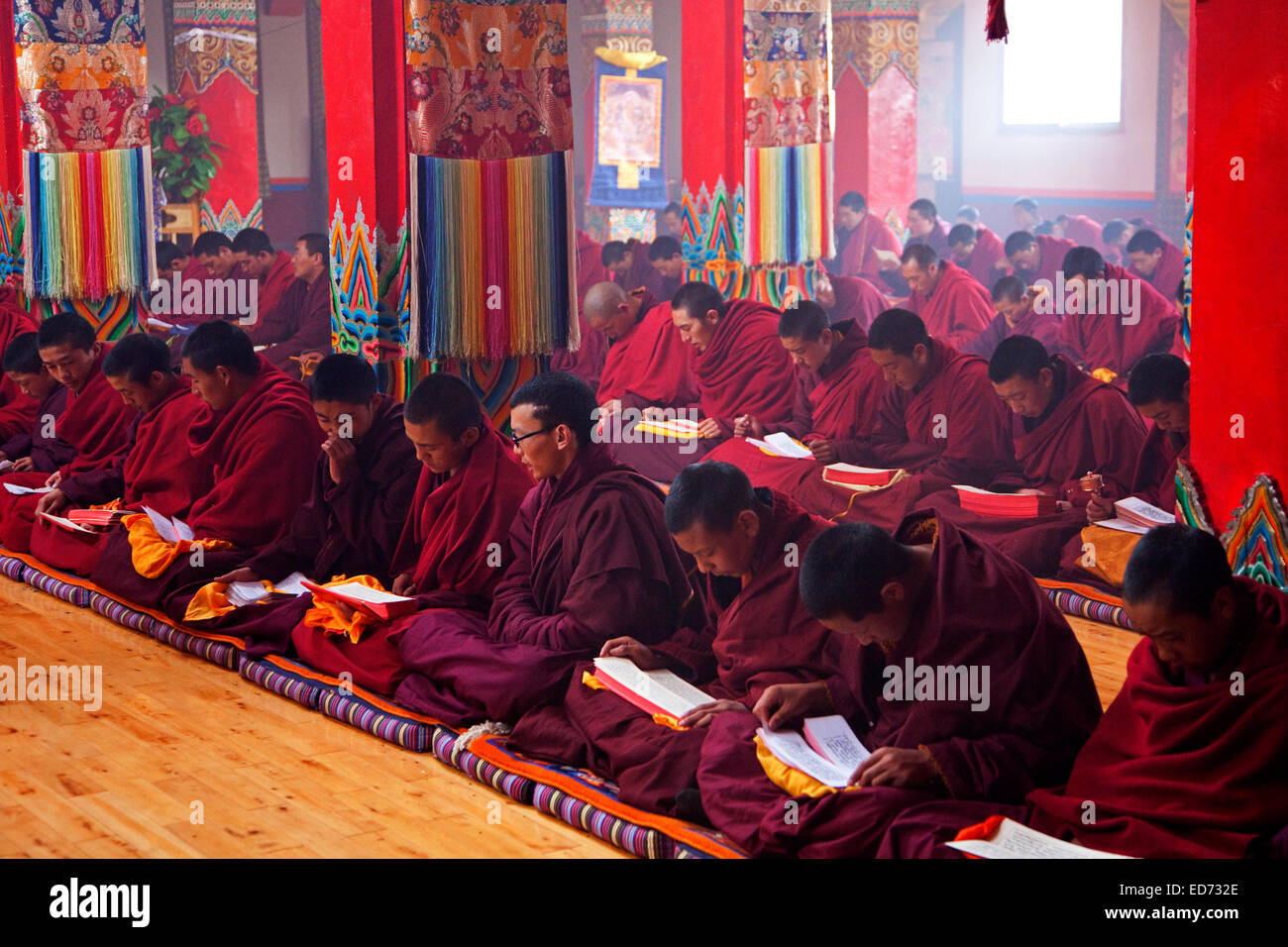 Young Tibetan monks saying mantras and meditating in Dzogchen Gompa / Deogchen monastery near Zhuqing, Sichuan Province, China Stock Photo