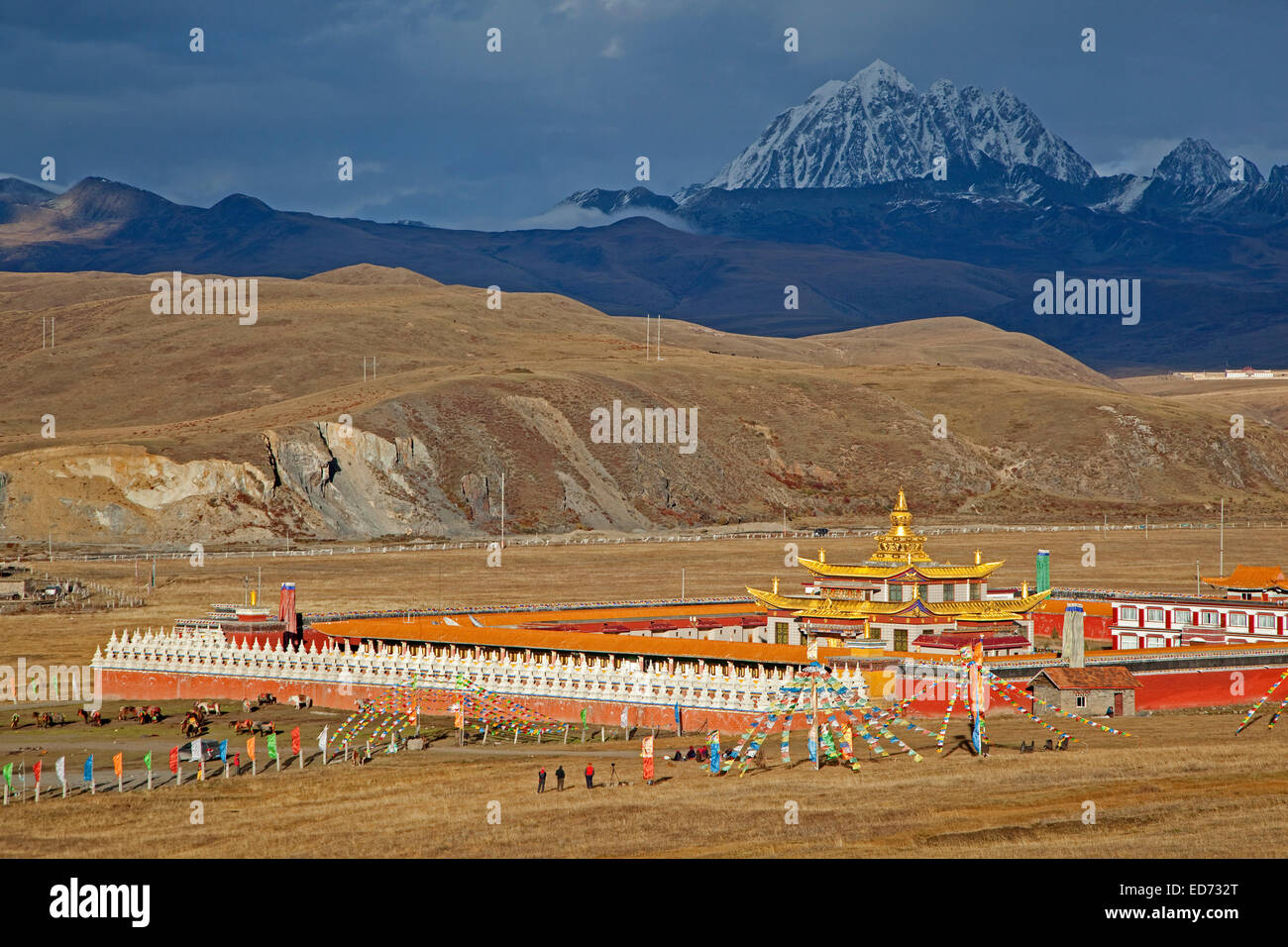 Tagong Monastery, Tibetan Buddhist monastery and the sacred mountain, Mt. Yala / Zhara Lhaste, Sichuan Province, China Stock Photo