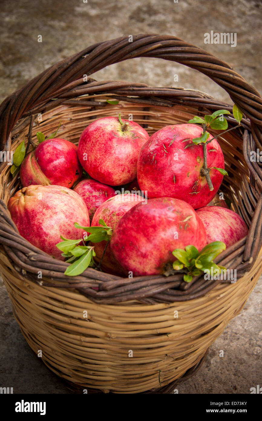 A basket with pomegranates at Pournaria village. Arcadia, Peloponnese, Greece Stock Photo