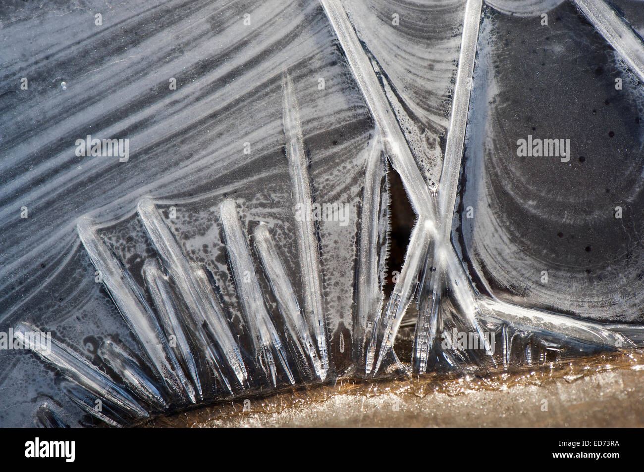 Ice formed around stones at the edge of a lake, Yorkshire, UK Stock Photo