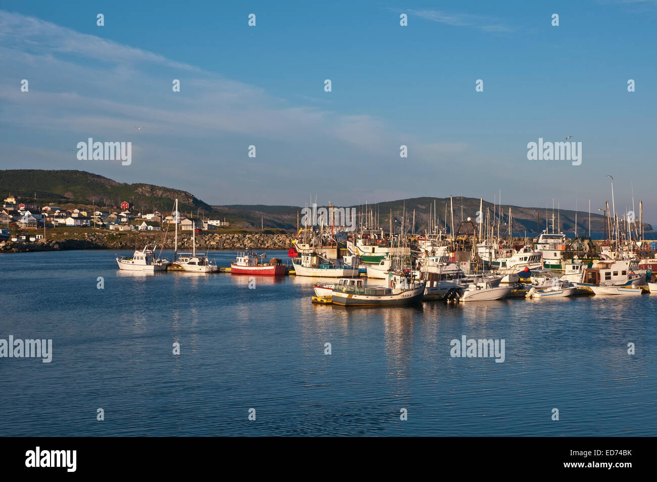 Bonavista Port, Cape Bonavista, Newfoundland, Canada Stock Photo Alamy