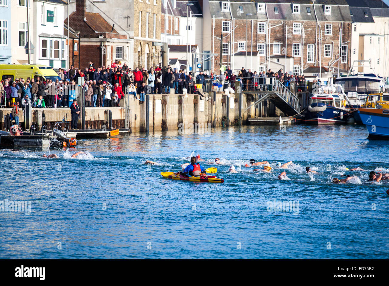 Weymouth Christmas day harbour swim 2015 Stock Photo Alamy