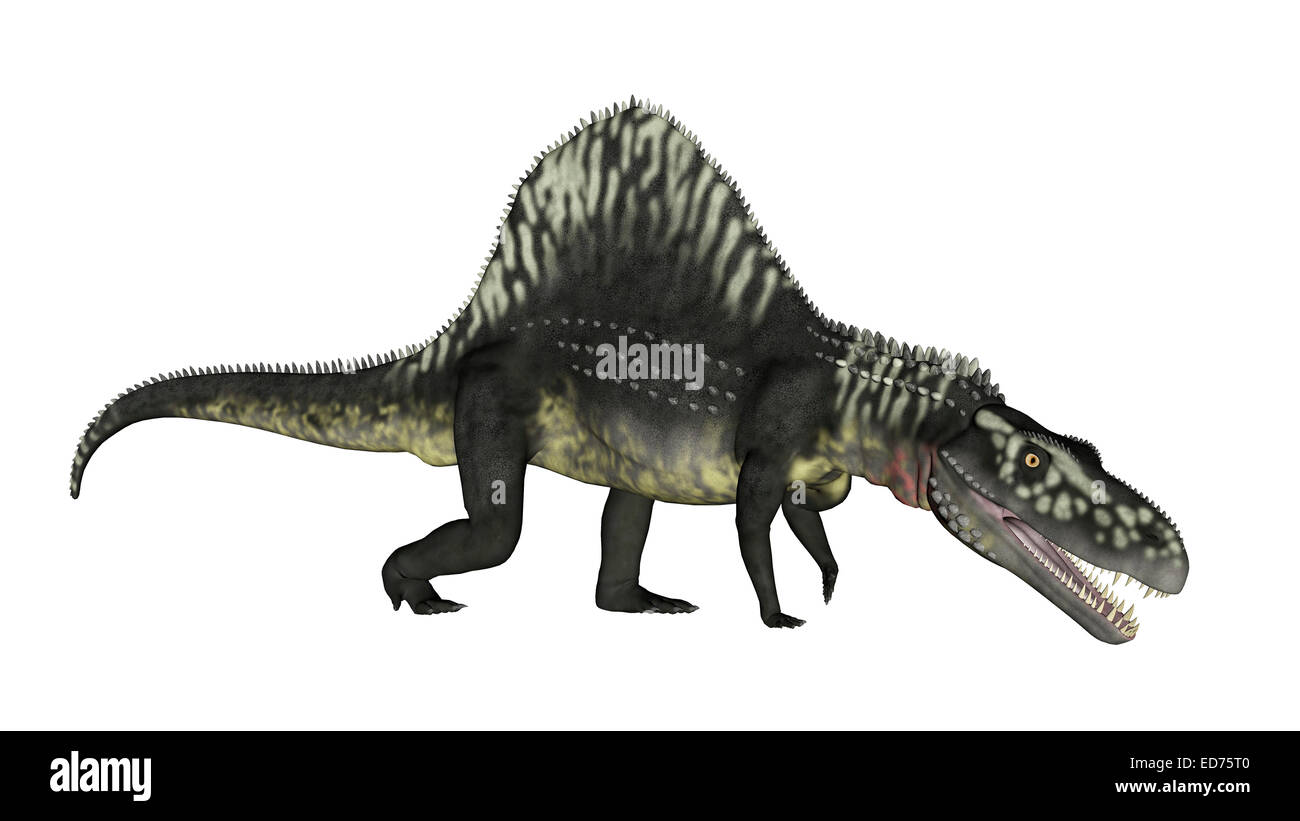 Arizonasaurus dinosaur, white background. Stock Photo