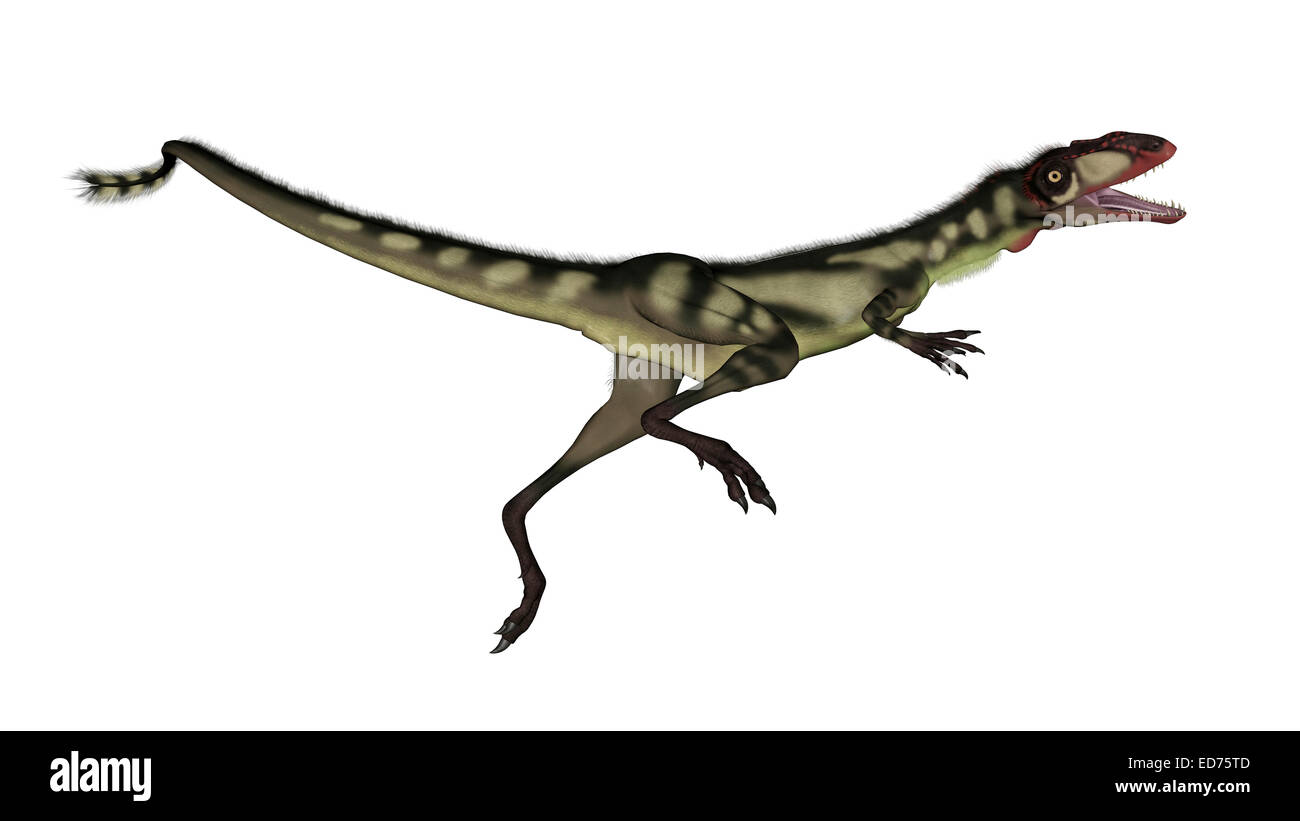 Prehistoric jerboa dinosaur. Dino is jumping. Raptor Animal Monster Stock  Vector