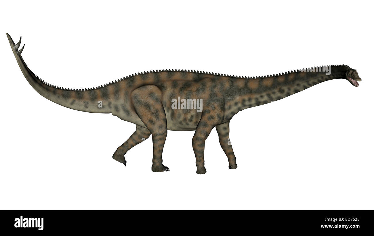 Spinophorosaurus dinosaur, white background. Stock Photo