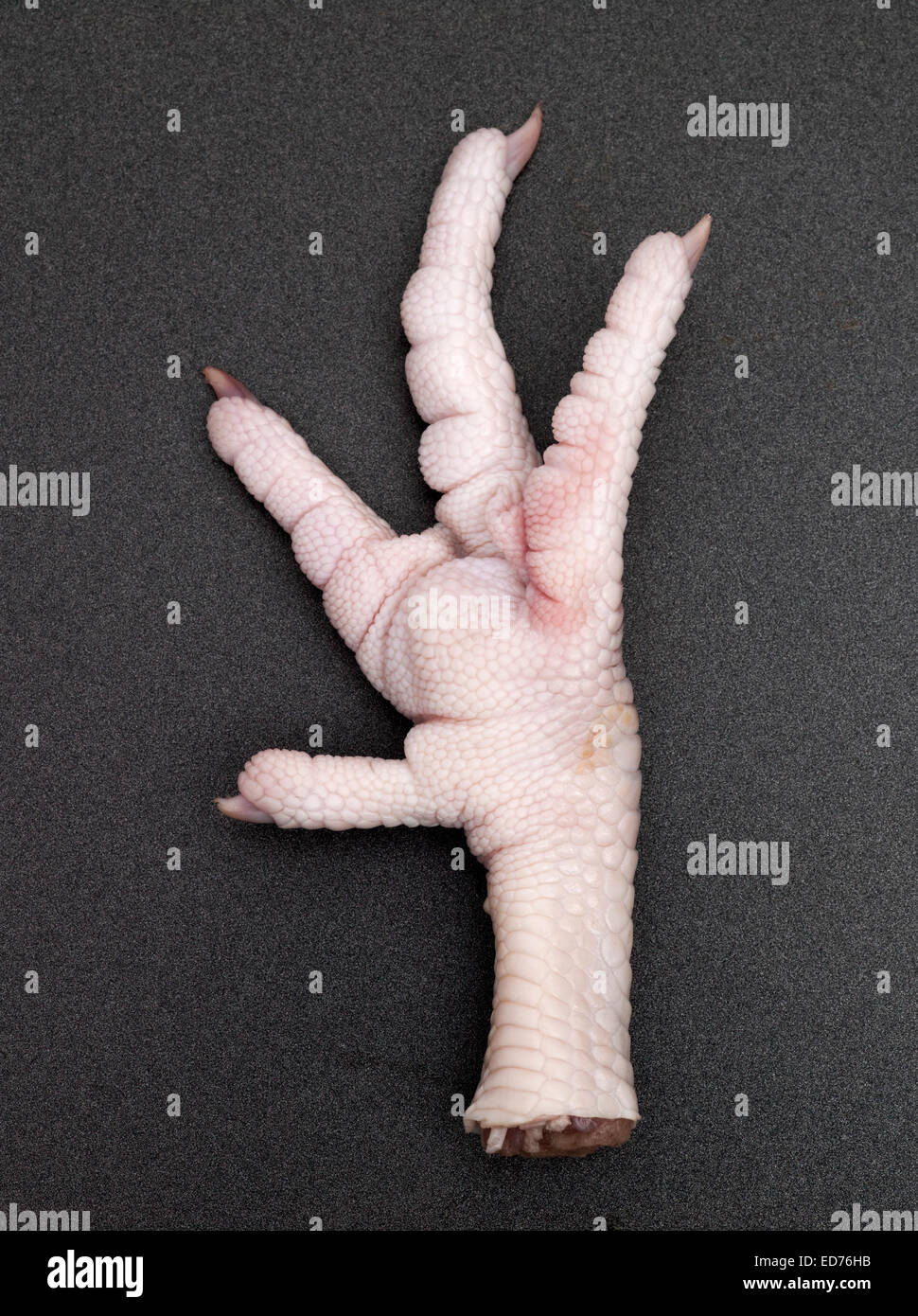 Raw Chickens Feet Stock Photo Alamy