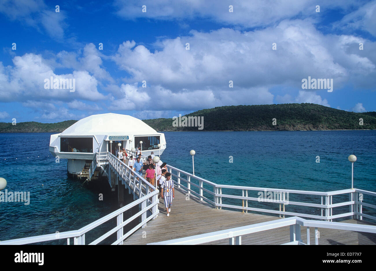 Coral World Coki Point St Thomas U S Virgin Islands Stock Photo Coral World Coki Point St Thomas U S Virgin Islands Stock Photo