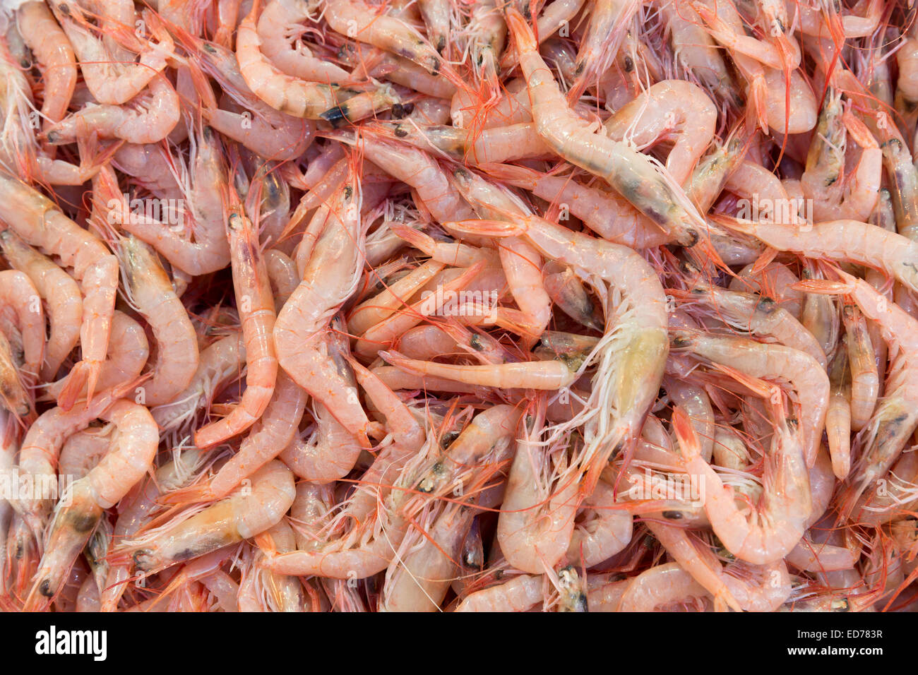 Fresh cooked prawns - shrimps - seafood for sale at food market in Kadikoy district Asian side Istanbul, East Turkey Stock Photo