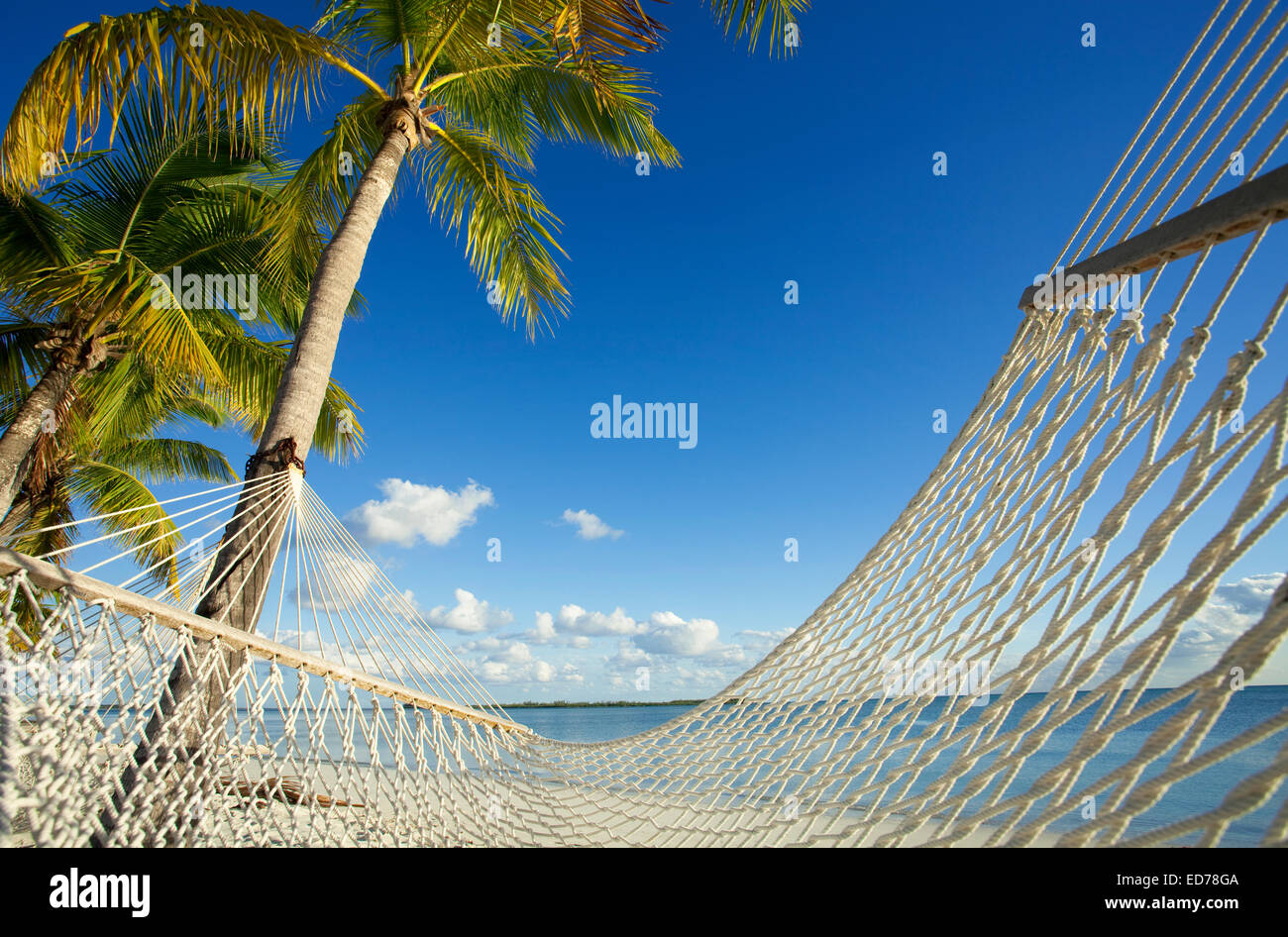 Hammock and palm trees in Abaco, Bahamas Stock Photo