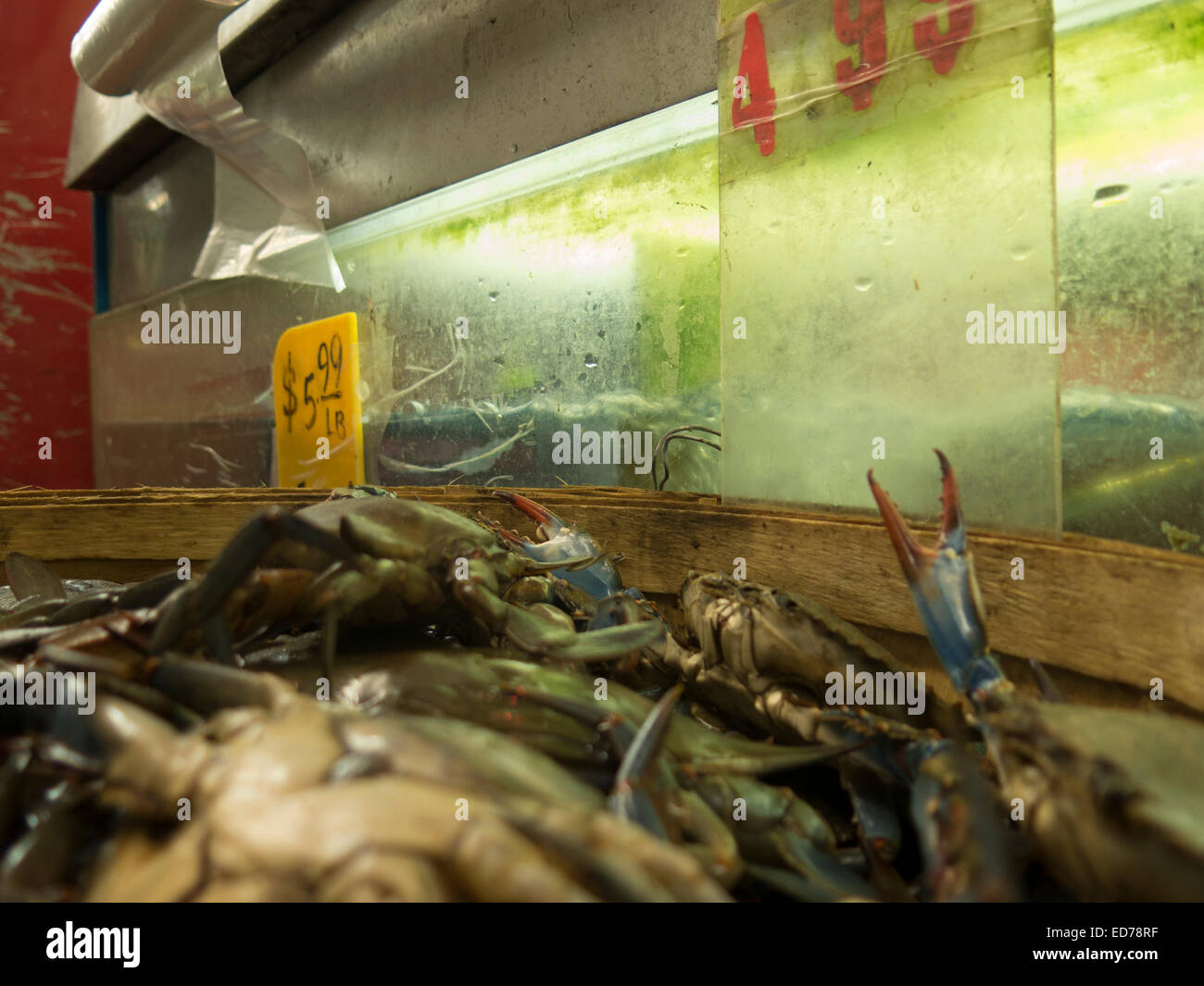 Seafood department in Asian market in Albany, New York. Stock Photo