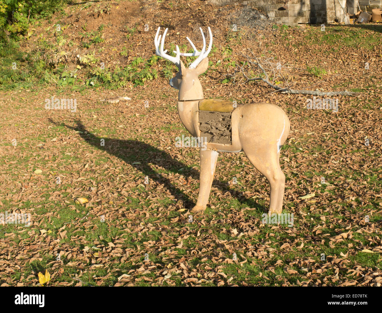 A deer practice target stands in the autumn sun in rural Massachusetts. Stock Photo