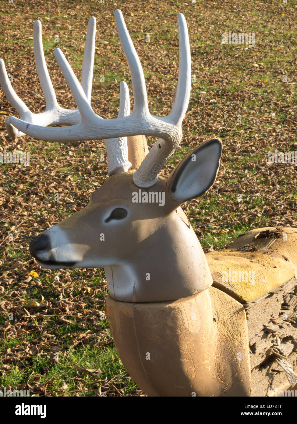 A deer practice target stands in the autumn sun in rural Massachusetts. Stock Photo