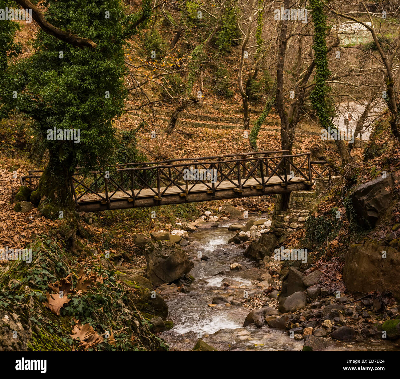 Small wooden bridge over a stream in a forest at winter season Stock ...