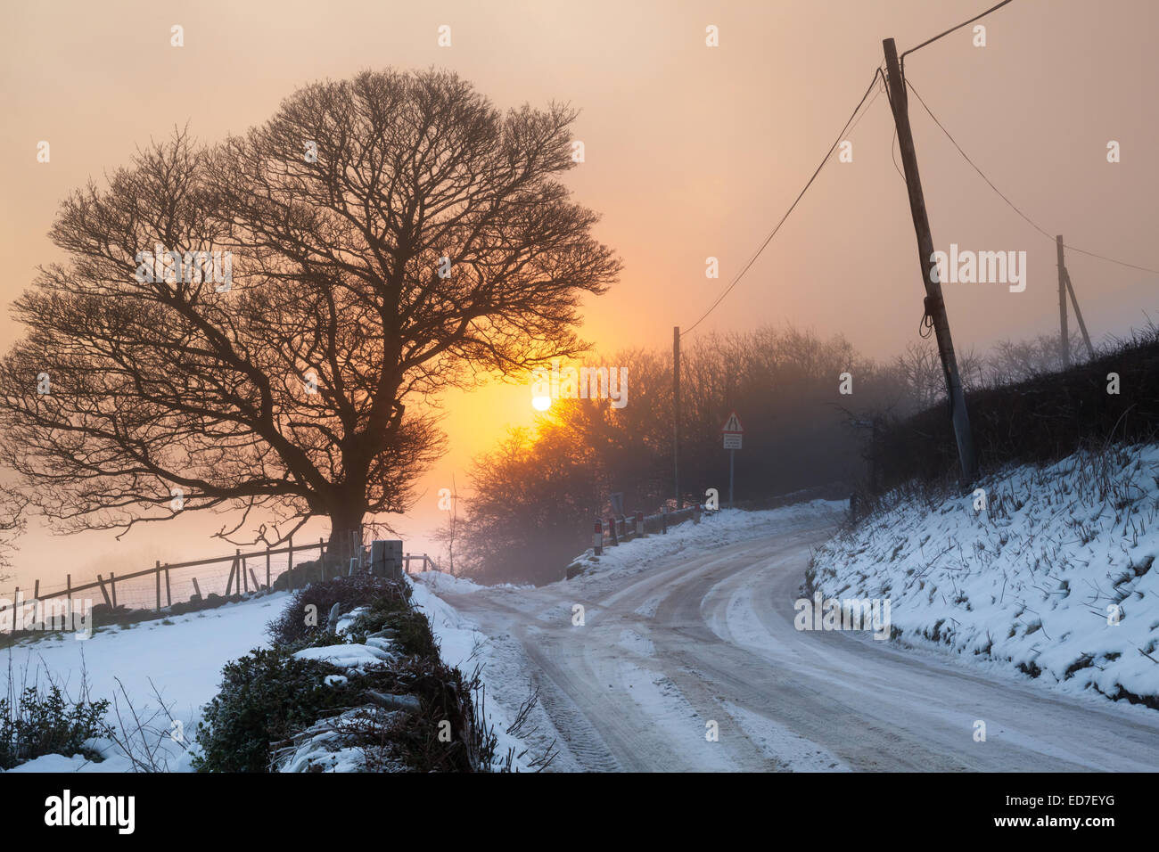 Crich, Derbyshire, UK. 31st December 2014. A cold, frosty and misty start to the last day of 2014 creating a wintry sunrise in the countryside near to the village of Crich. The weather is forecast to turn milder for the New Year. Credit:  Mark Richardson/Alamy Live News Stock Photo