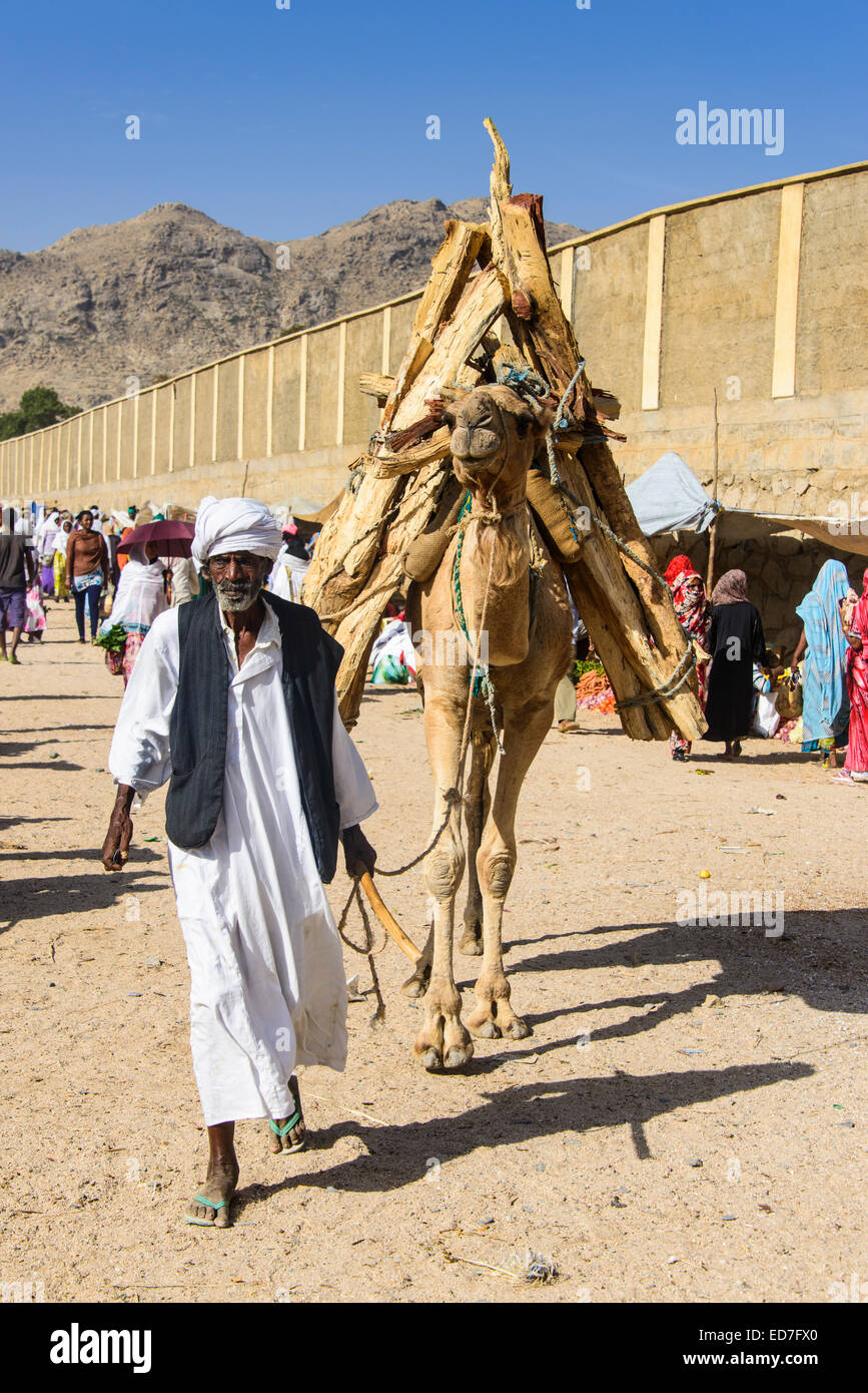 Man with his with his camel loaded with firewood walking through the Monday market of Keren, Eritrea Stock Photo
