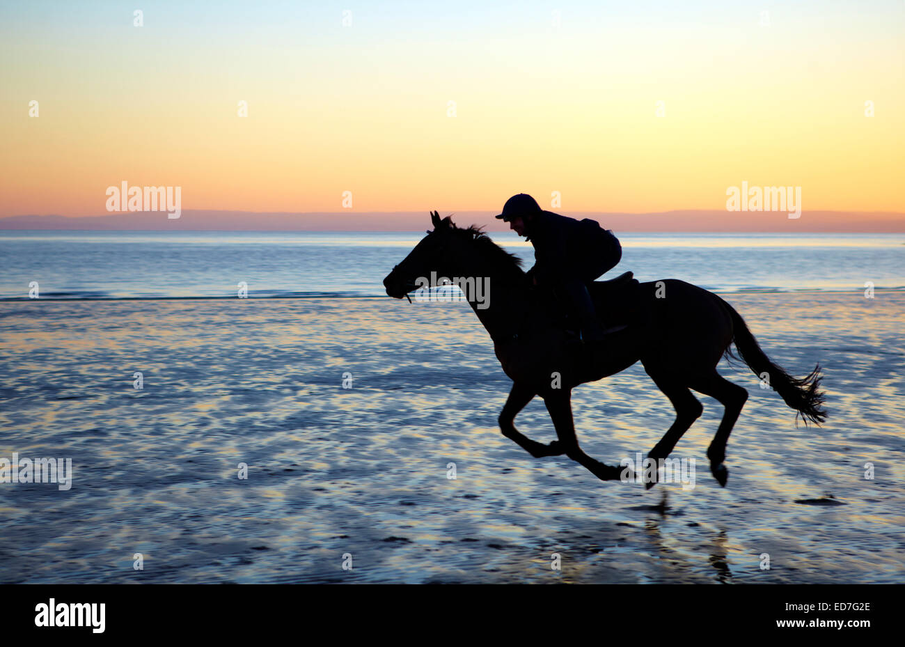 Horse galloping across Barry Island beach at dusk Stock Photo