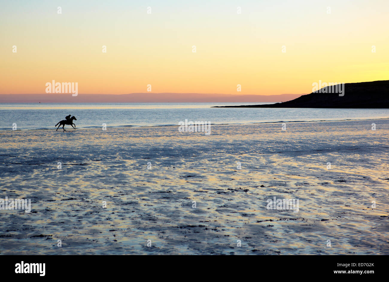 Horse galloping across Whitmore Bay, Barry Island beach at dusk Stock Photo