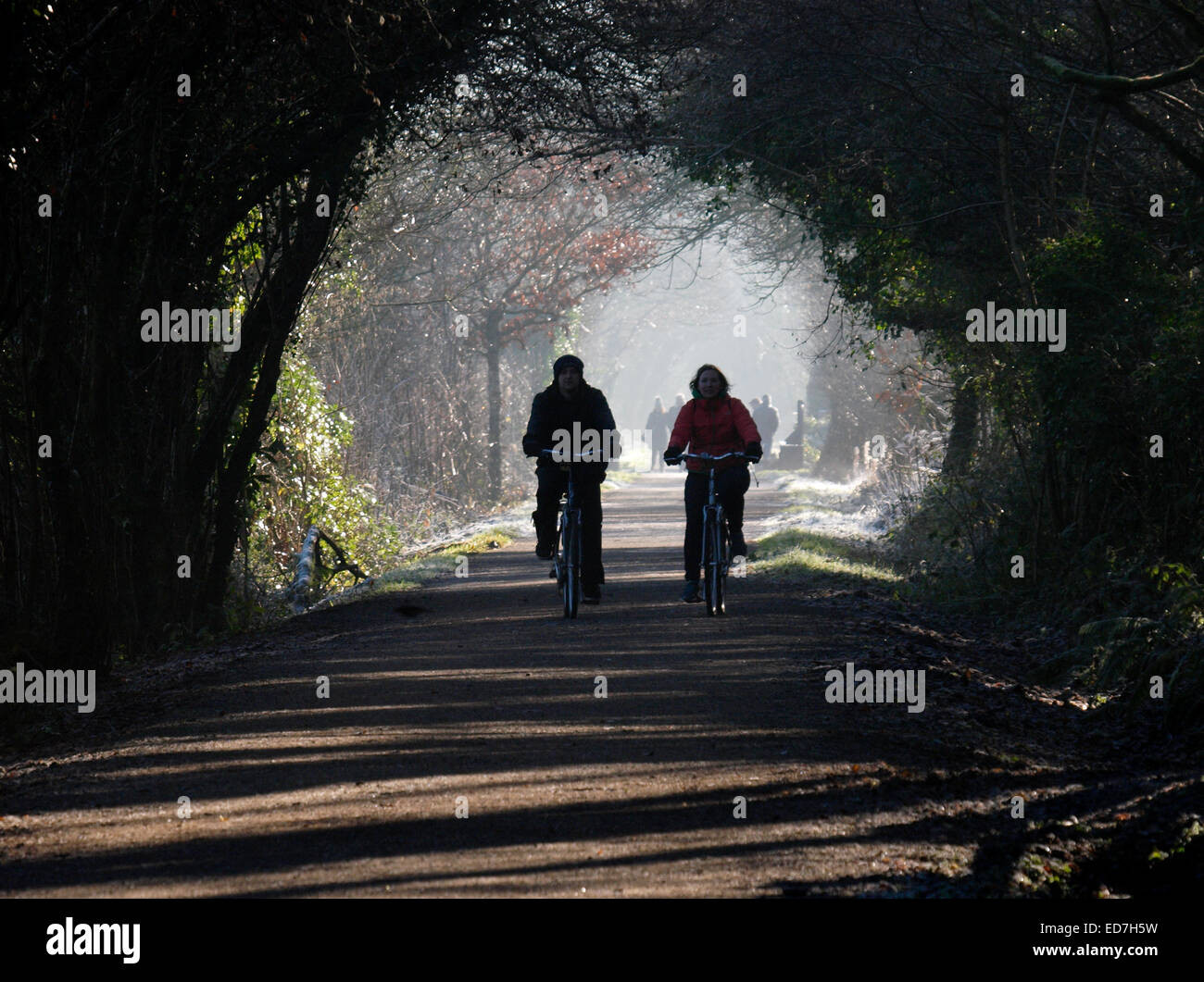Winter cycling along the Camel Trail near Wadebridge, Cornwall, UK Stock Photo