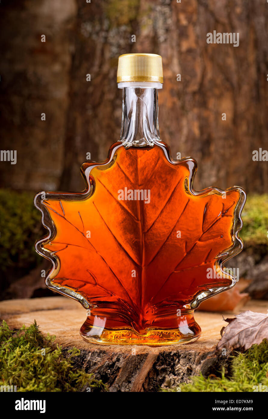 A bottle of delicious maple syrup in hardwood forest setting. Stock Photo