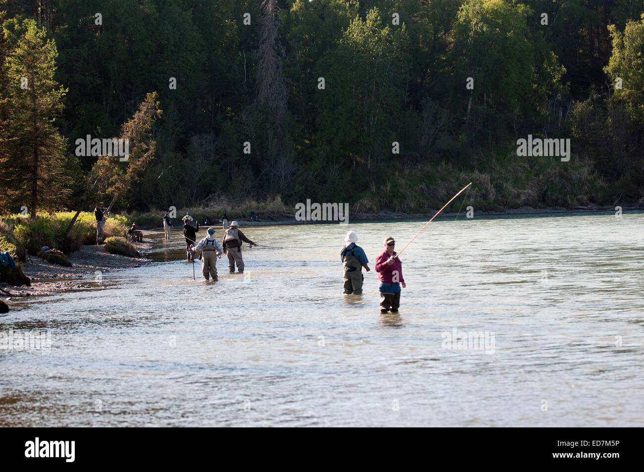 Fishing on Kasilof river on Kenai Peninsula in Alaska Stock Photo Alamy