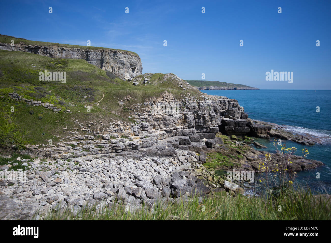 Old stone quarries on the coast in Purbeck Dorset UK Stock Photo Alamy