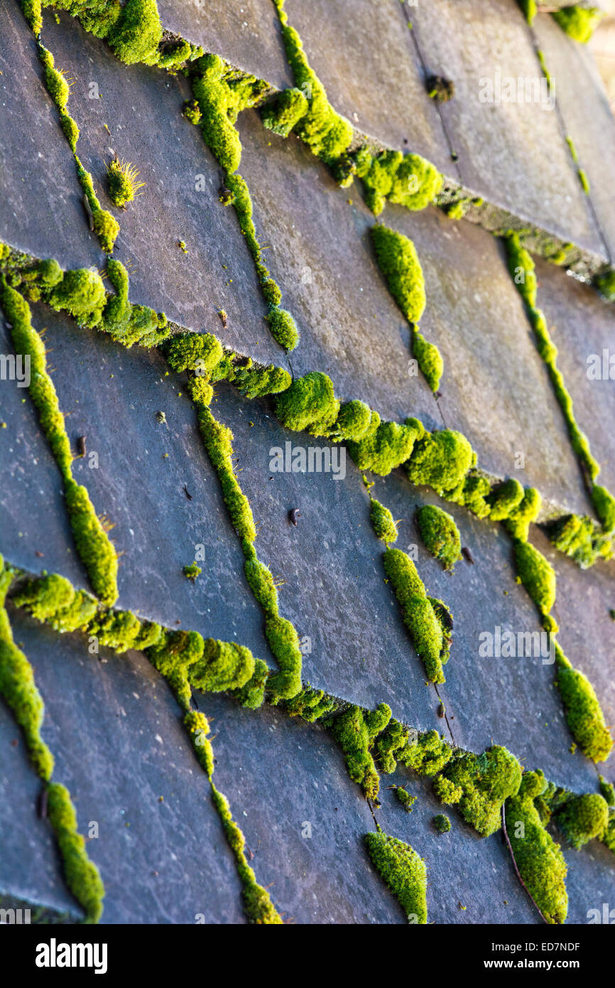 Concrete roof tile hires stock photography and images Alamy