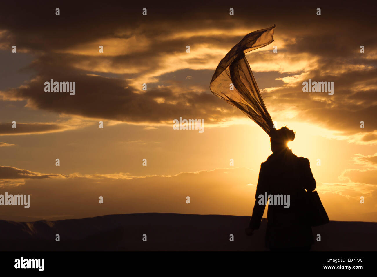 Silhouette of woman wearing scarf blowing in the wind watching the sunset. Stock Photo