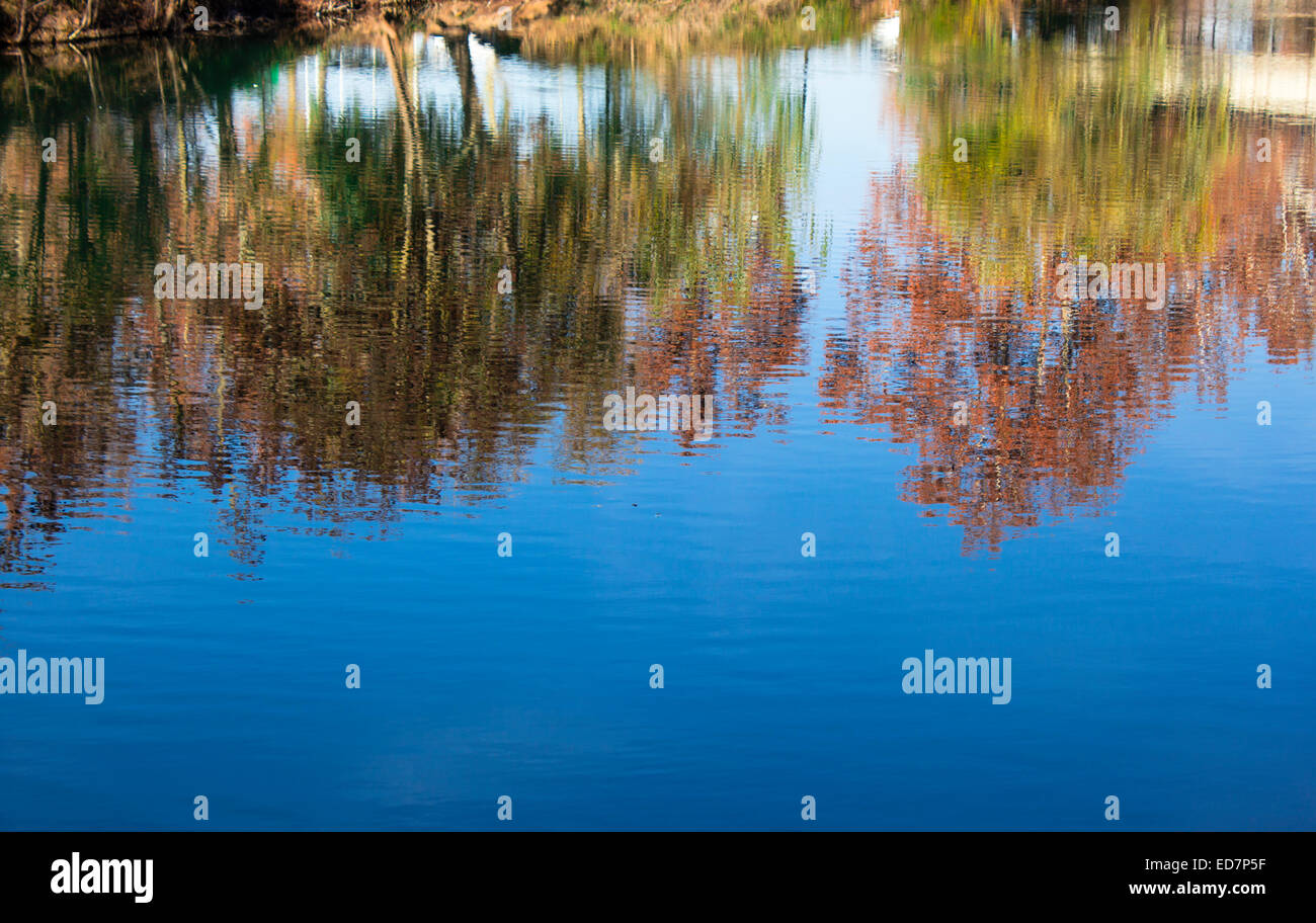 Reflection of autumn trees in river. Stock Photo