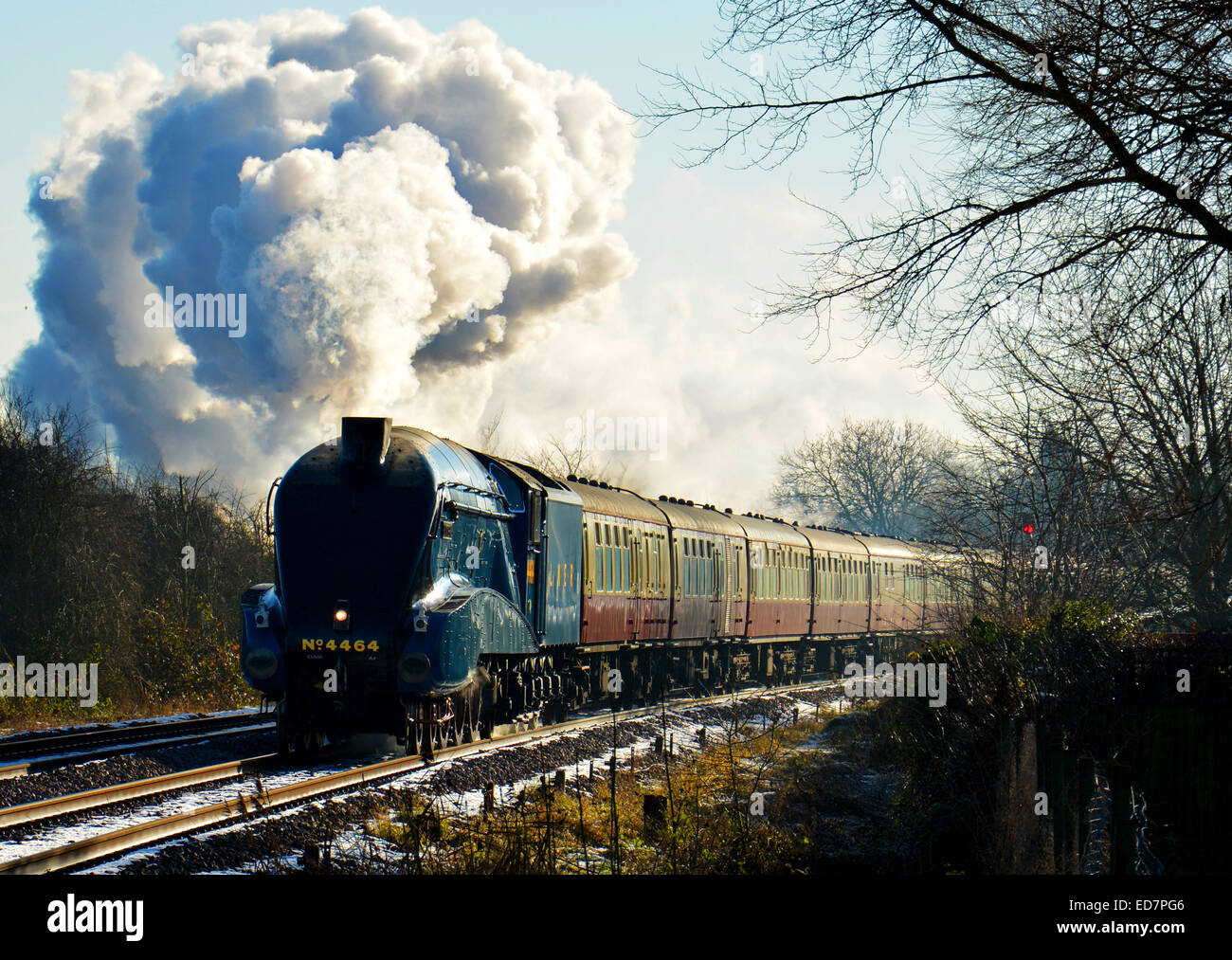 Bittern 4464 steam train passing through Spalding in Lincolnshire on journey between London King's Cross and Lincoln Stock Photo