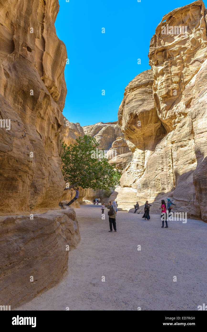 The Siq, the narrow canyon that serves as the entrance passage to the hidden city of Petra, Jordan. Stock Photo