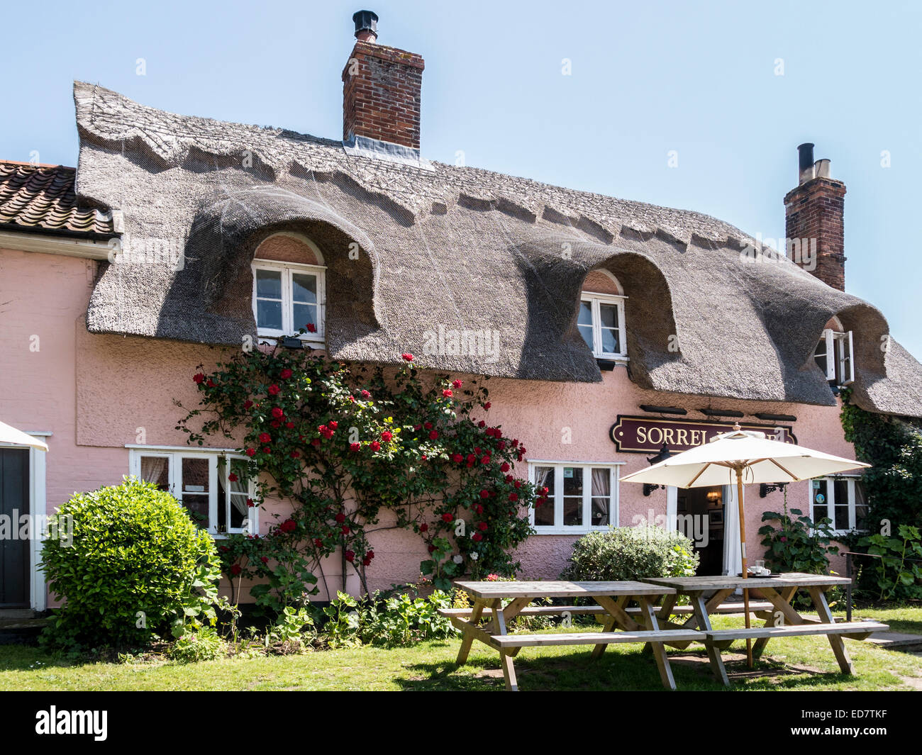 The Sorrel Horse Public House, Shottisham, Suffolk Stock Photo Alamy