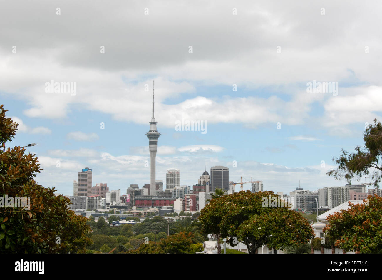 New Zealand Auckland Skyline viewed from Ponsonby Stock Photo